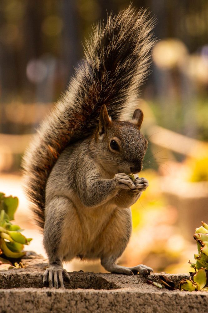 Photograph by Jorge Bagnuoli