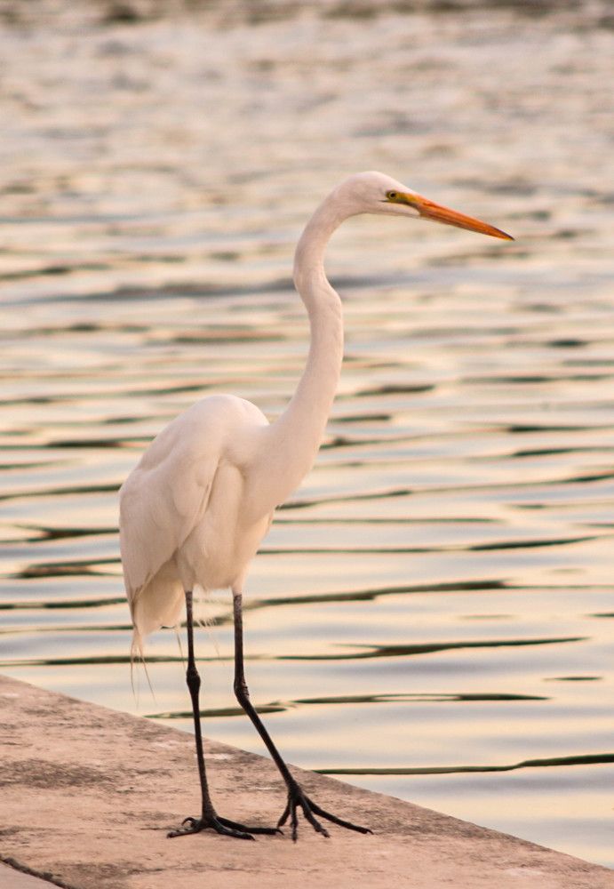 Photograph by Jorge Bagnuoli