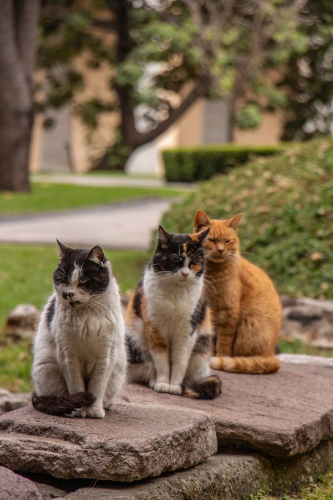 Photograph by Jorge Bagnuoli