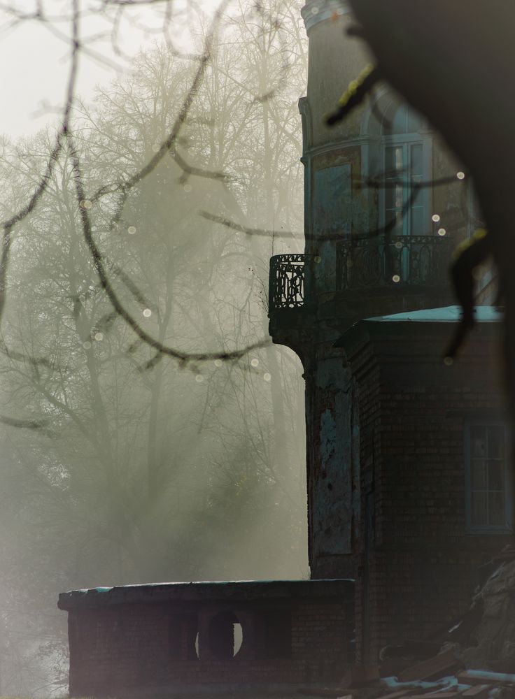 Photograph by Ольга Заповедная