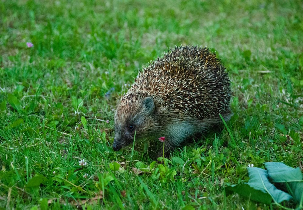 Photograph by Милена Полтавец