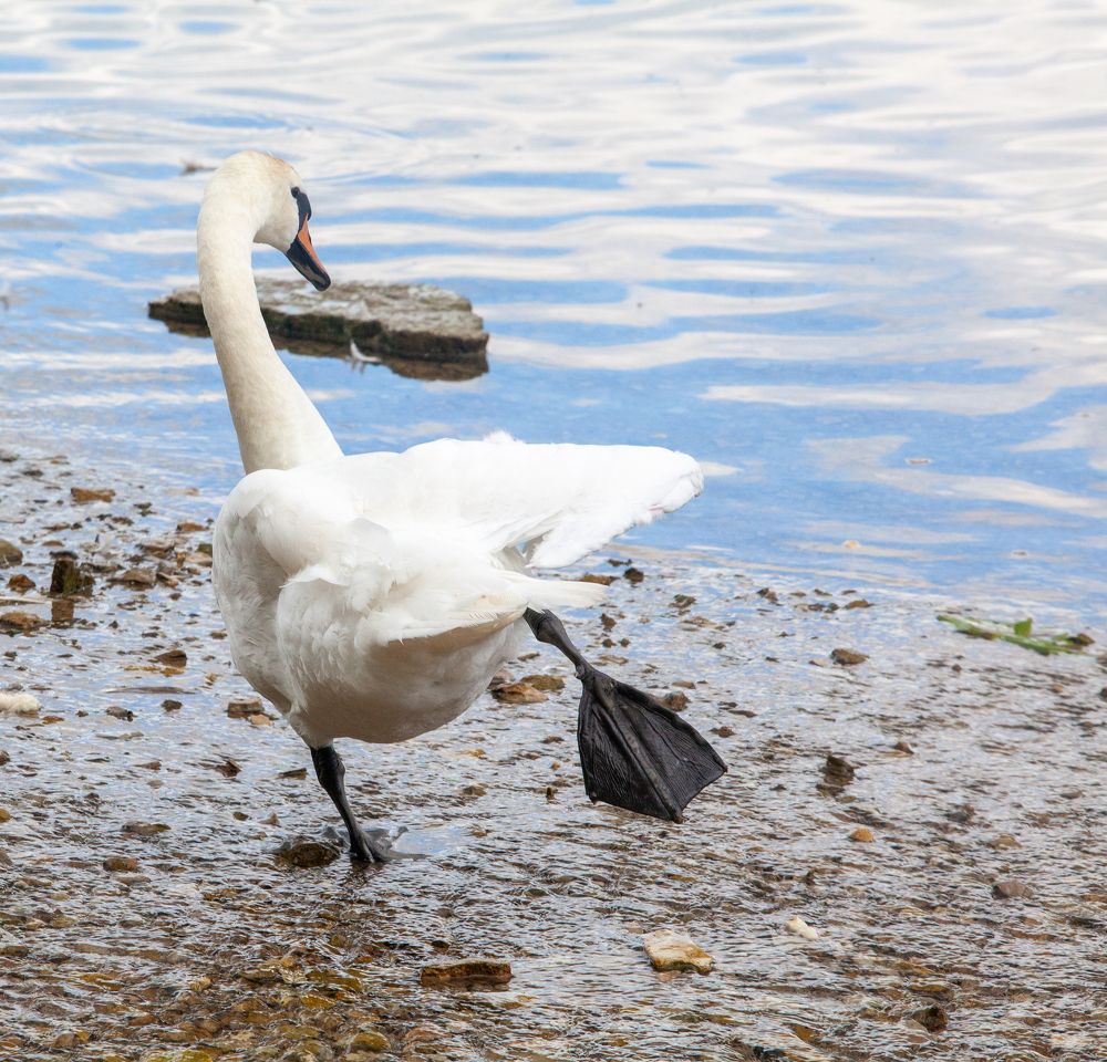 Фотография автора Ольга Малкова