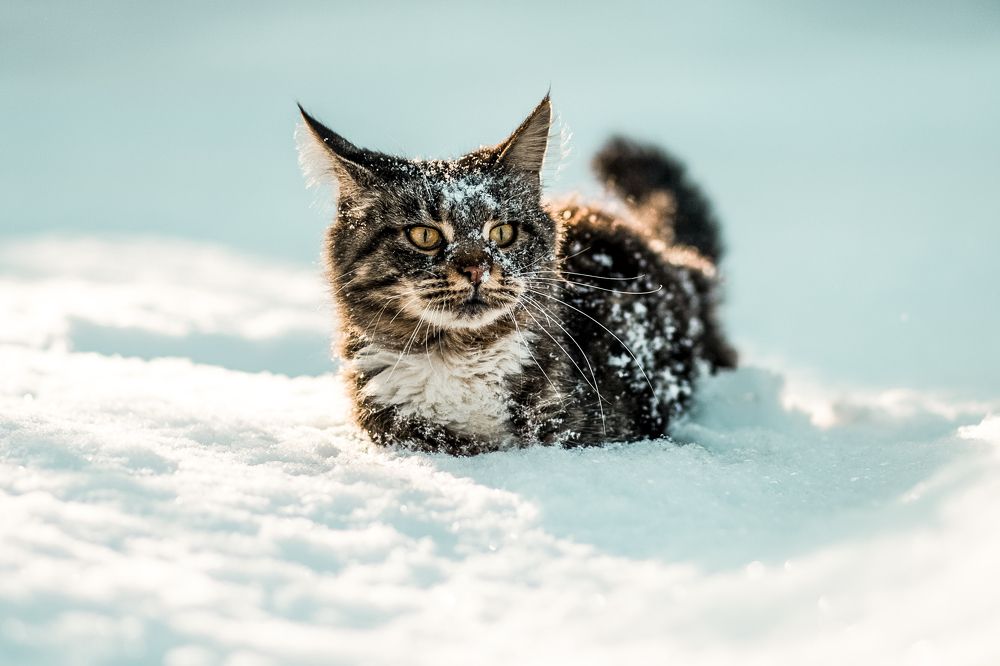 Photograph by Татьяна Литвинова