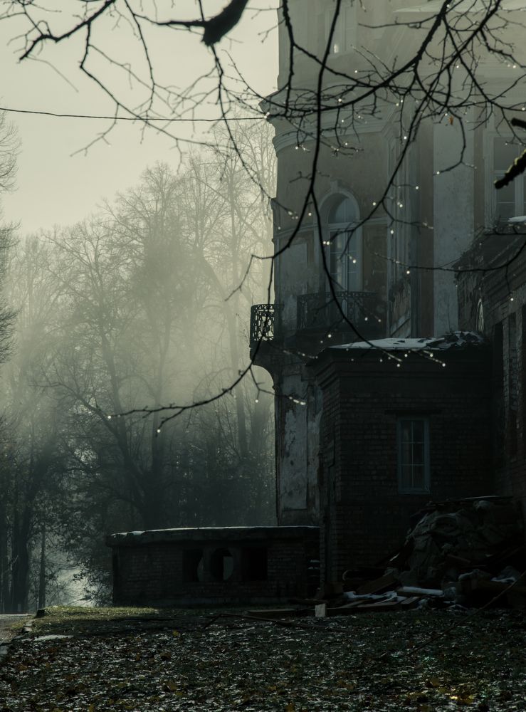 Photograph by Ольга Заповедная