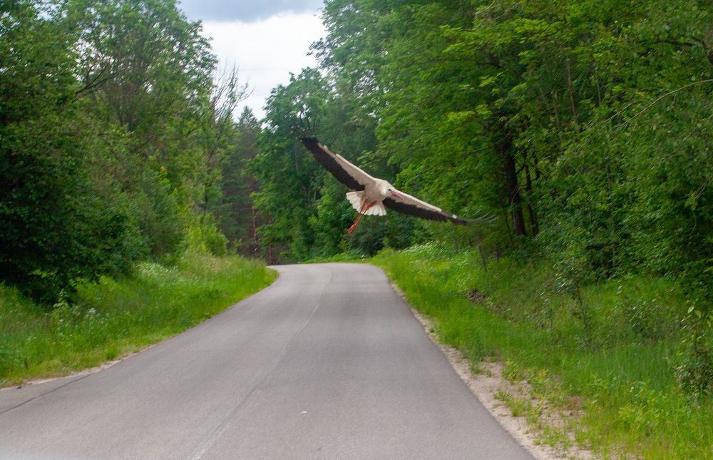 Фотография автора Ольга Малкова