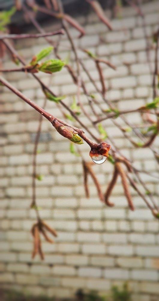 Photograph by Светлана Гришакова