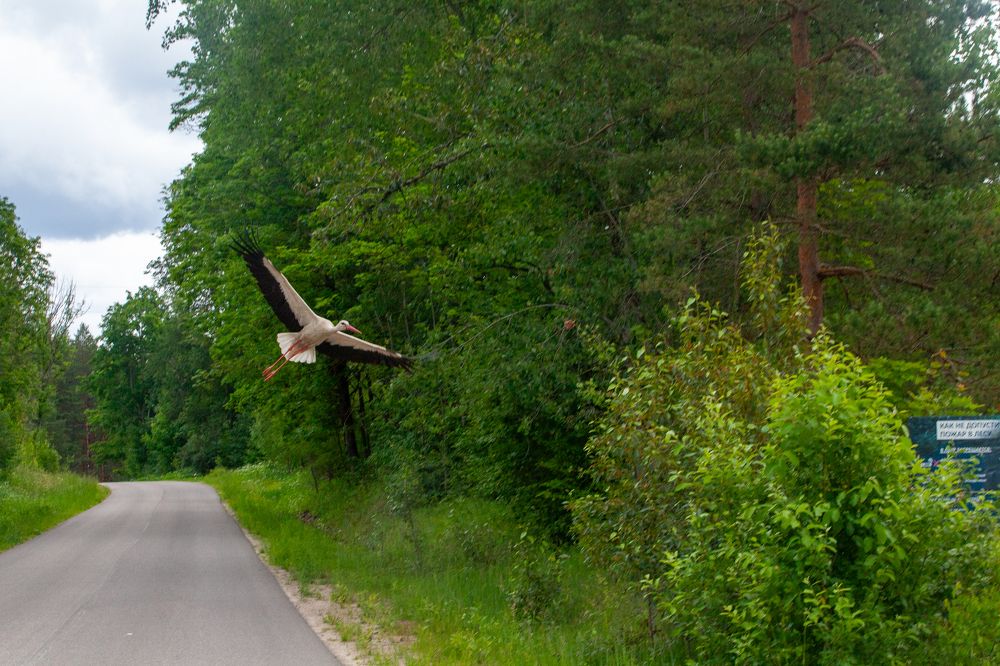 Фотография автора Ольга Малкова
