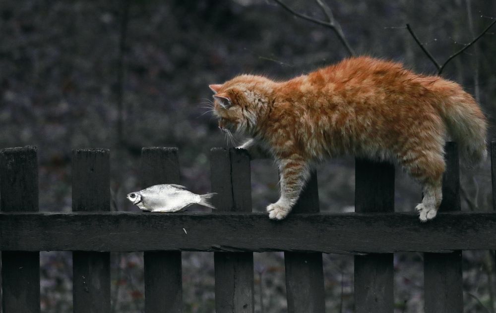 Photograph by Татьяна Исаева