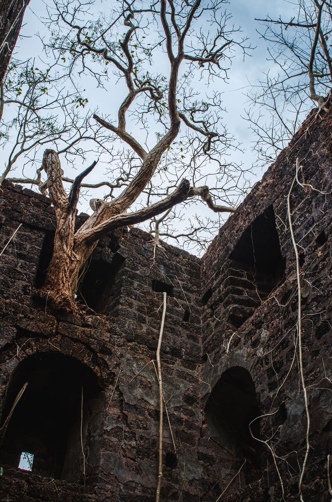 Photograph by Елена Аверина