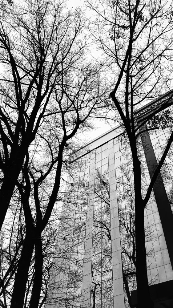 Photograph by Anastasiya Danilova