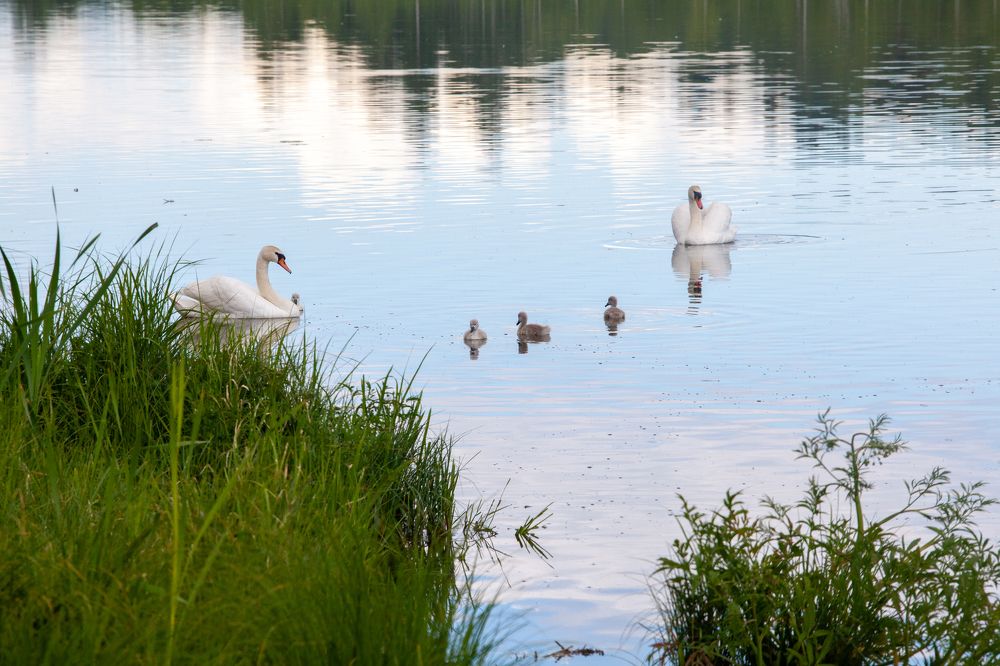 Фотография автора Ольга Малкова