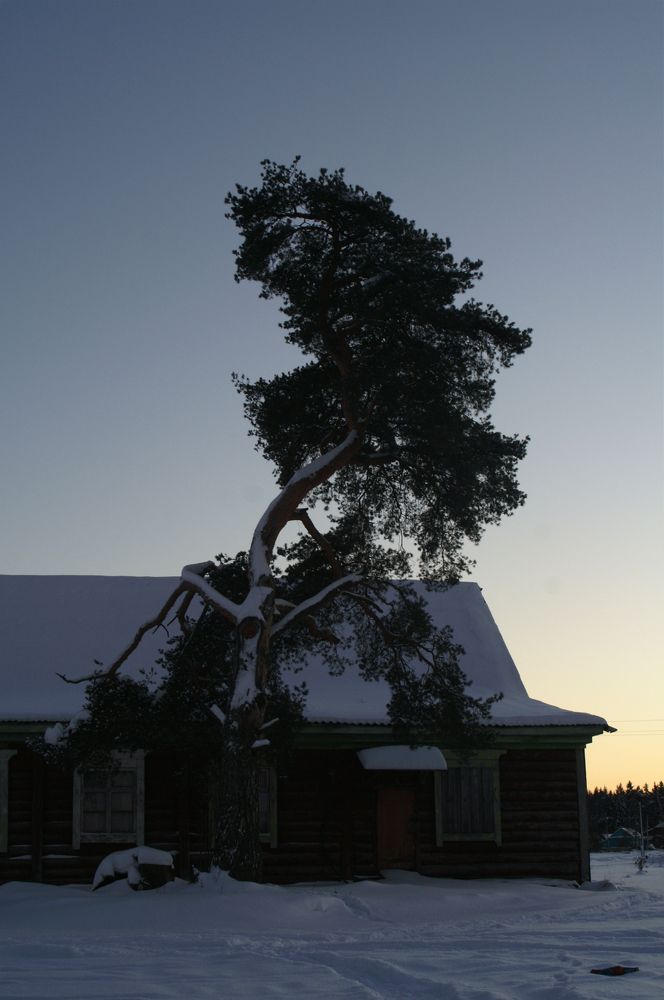 Photograph by Ольга Заповедная