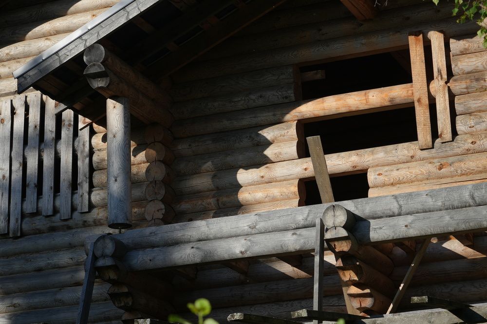 Photograph by Михаил Трусов