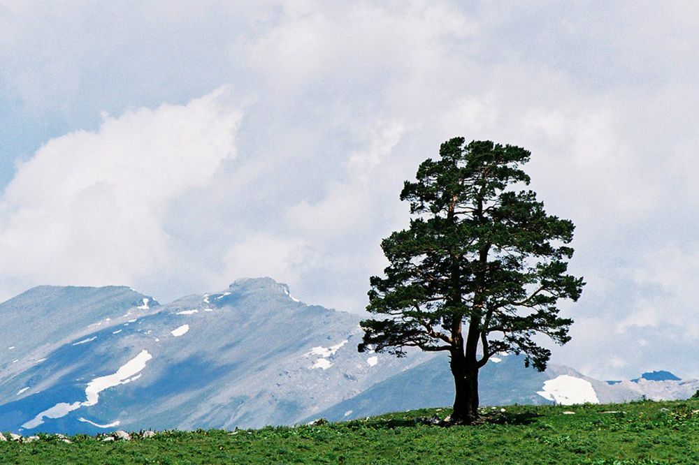 Photograph by Ольга Заповедная