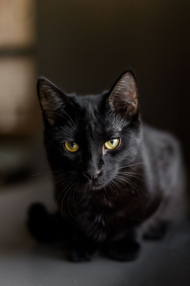 Photograph by Эльвира Грызлова