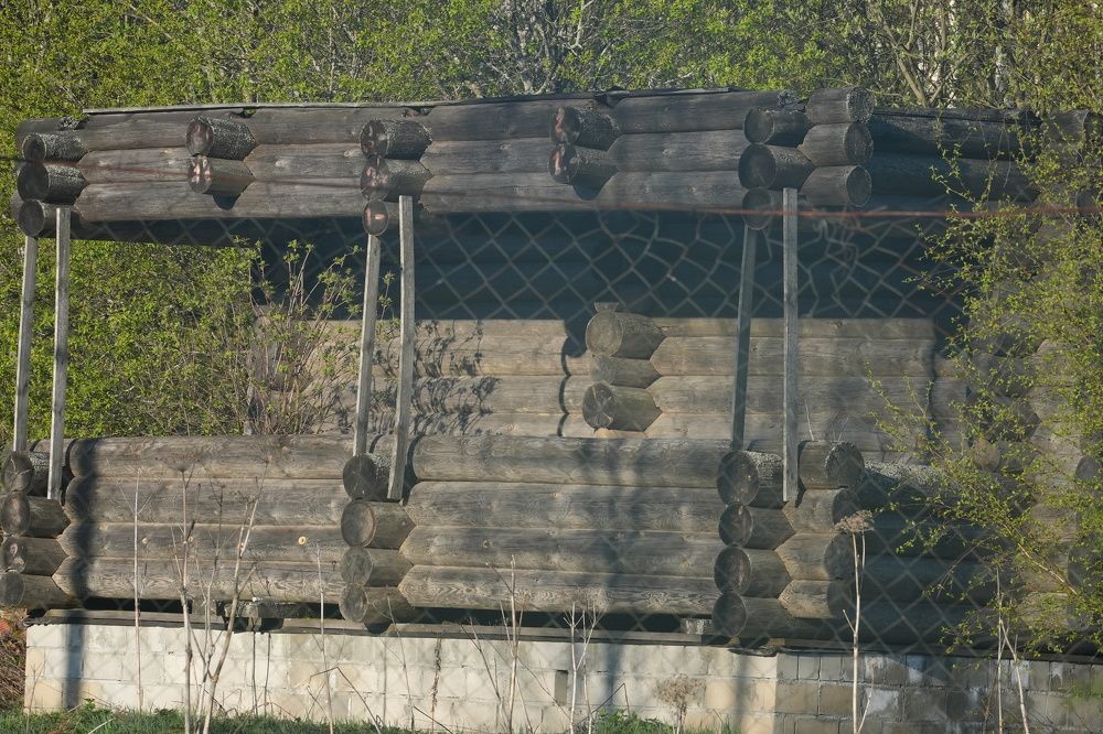 Photograph by Михаил Трусов