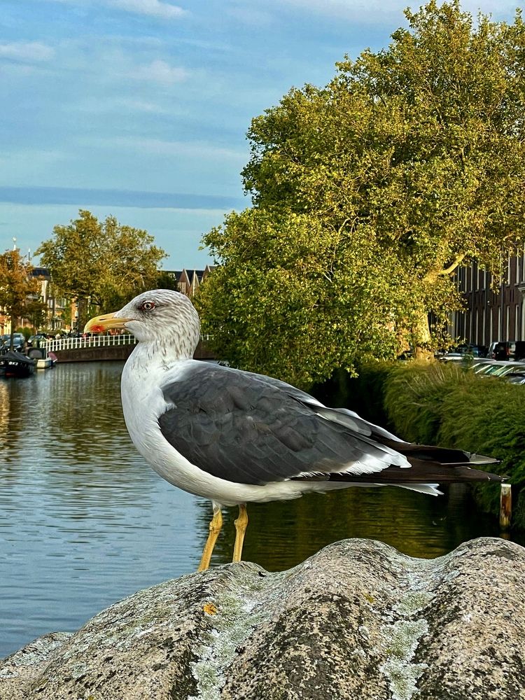 Фотография автора Nadezhda