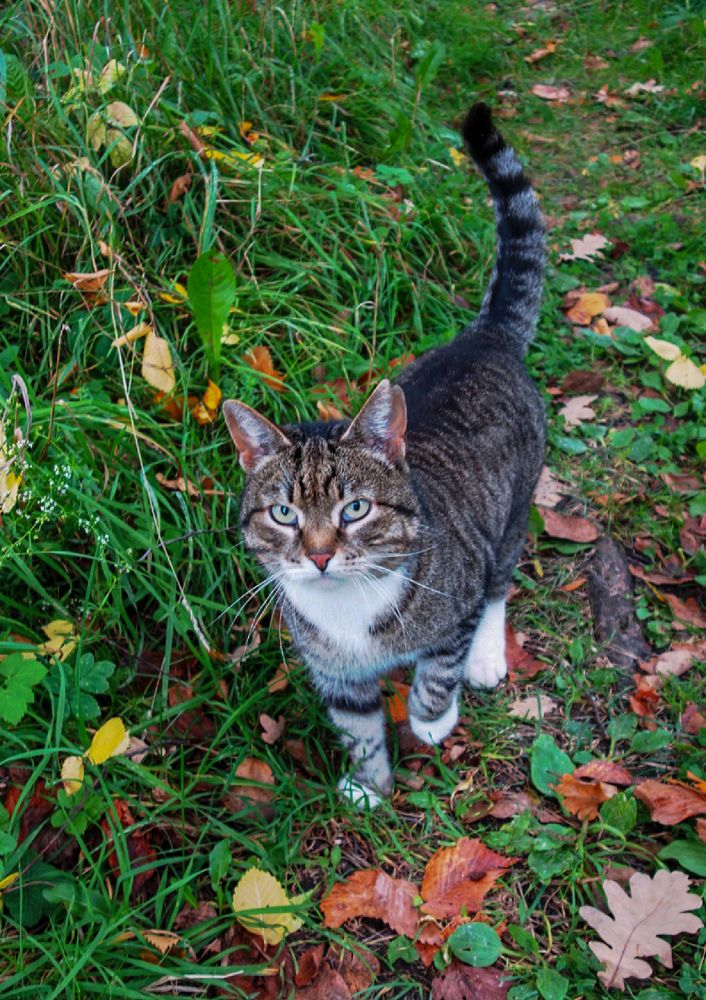 Photograph by IRINA KORNEVA