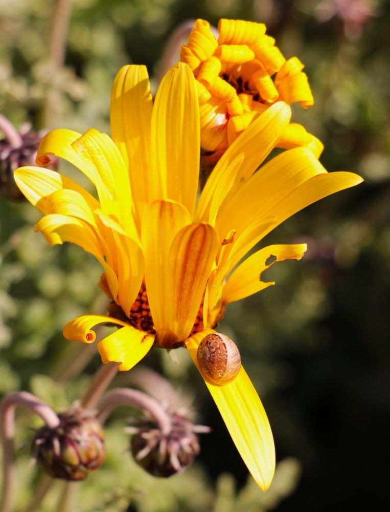 Photograph by Людмила Бутова