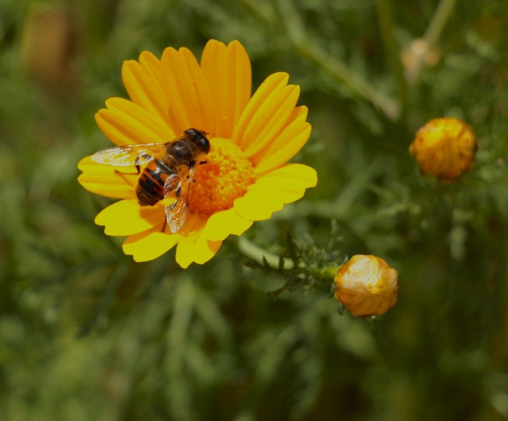 Photograph by Людмила Бутова