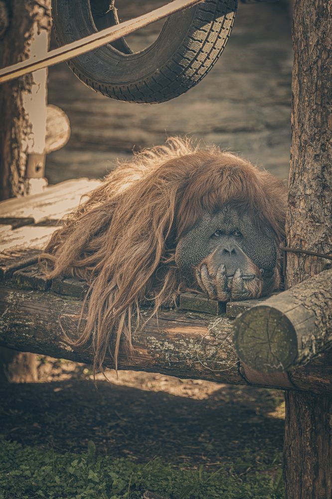 Photograph by Игорь Толкачев