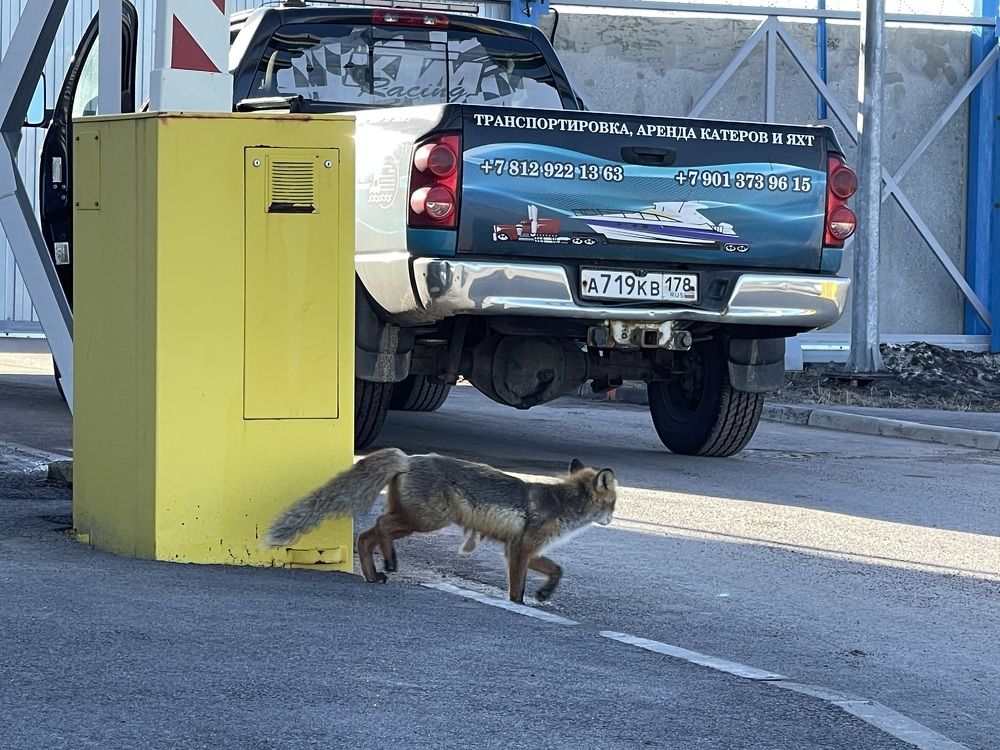 Photograph by Ольга Одаренко