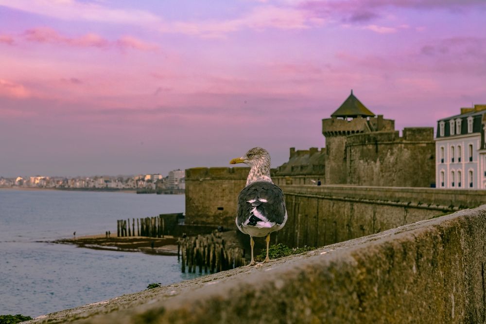 Photograph by Ольга Одаренко