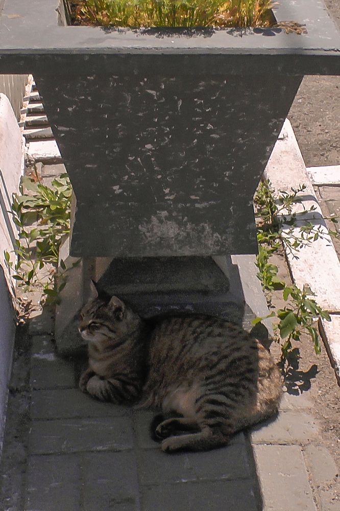 Photograph by Sergey Tyasto