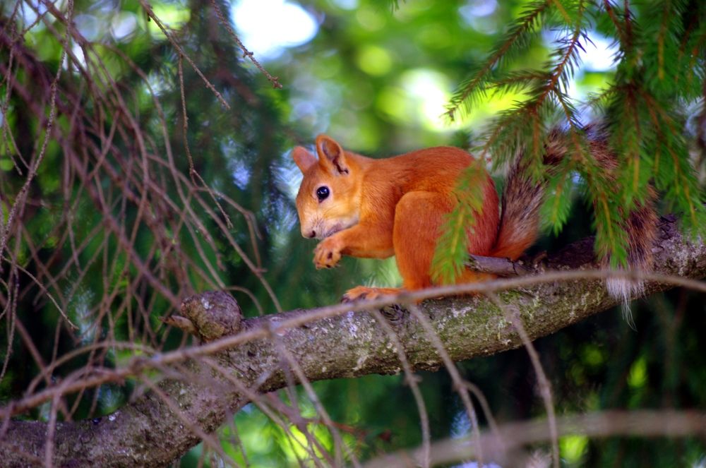 Photograph by Светлана Герасимчук