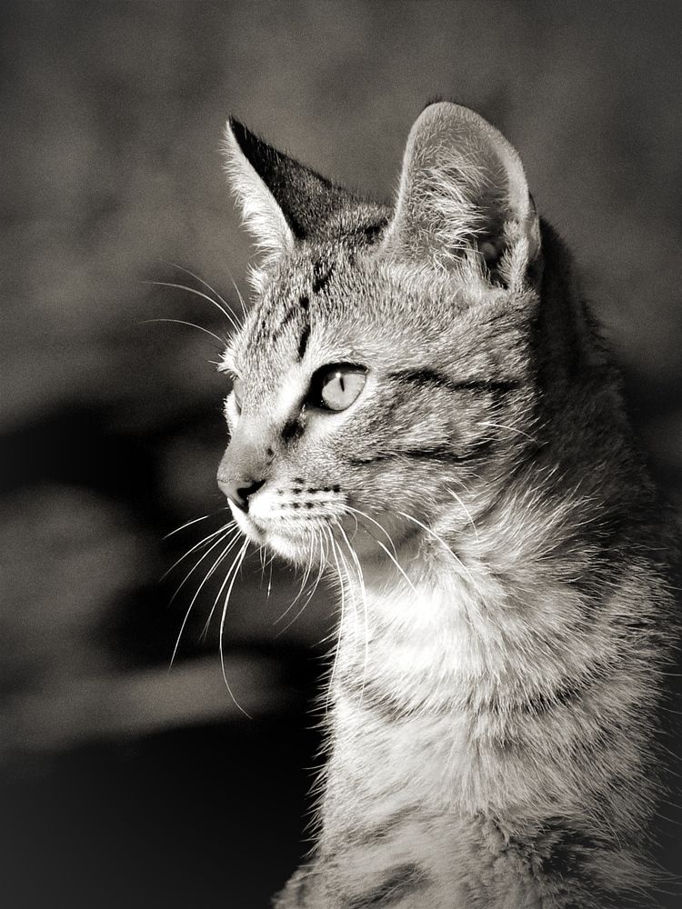 Photograph by ТАТЬЯНА/-+/-я ДОЛГУШЕВА