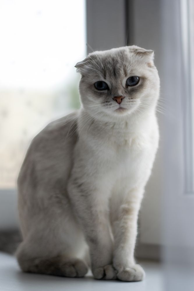 Photograph by Татьяна Мыгакова