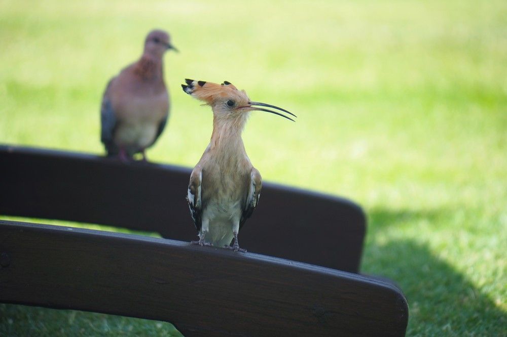 Photograph by Сергей Пушкин