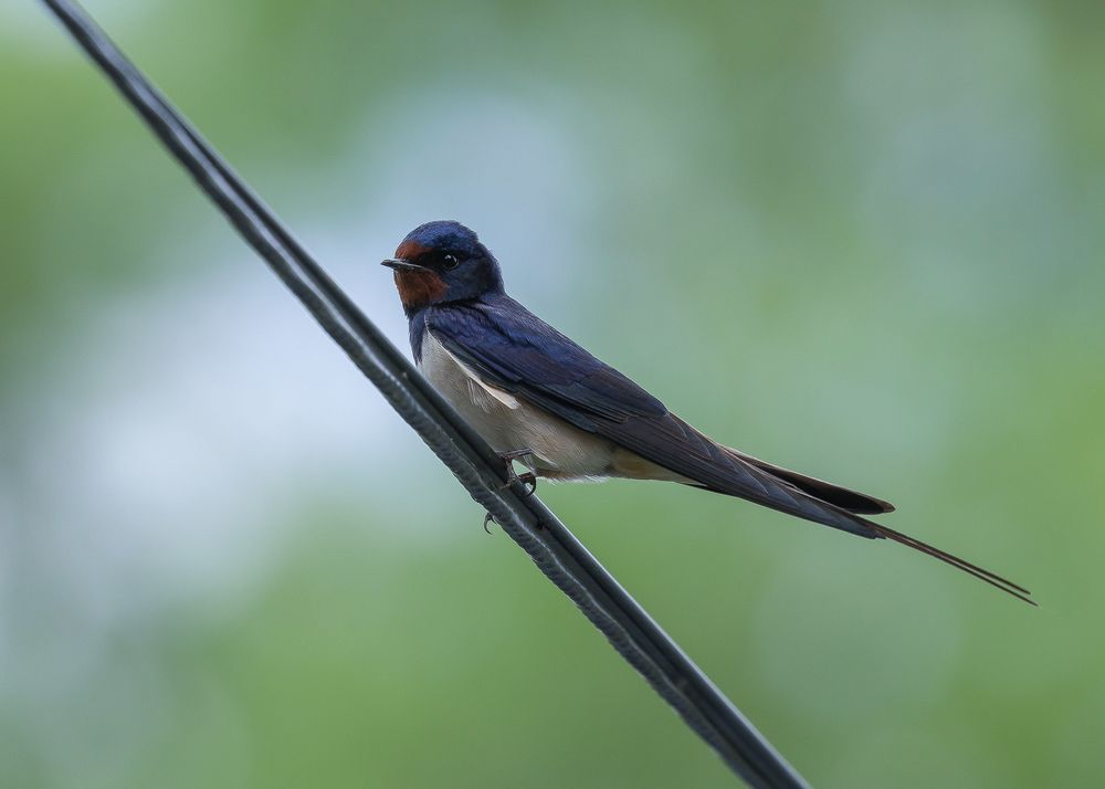 Photograph by Кузнецов Дмитрий