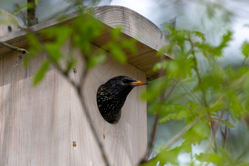 Photograph by Кузнецов Дмитрий