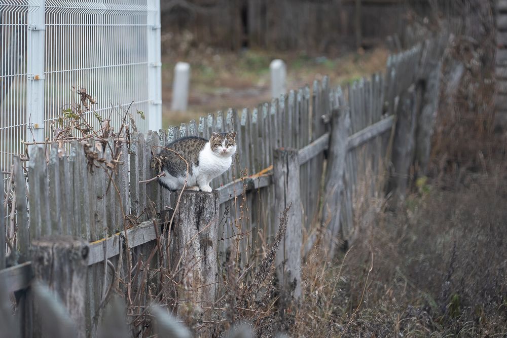 Photograph by Кузнецов Дмитрий