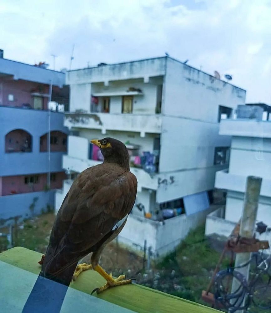 Photograph by Bhargav Pinapatruni