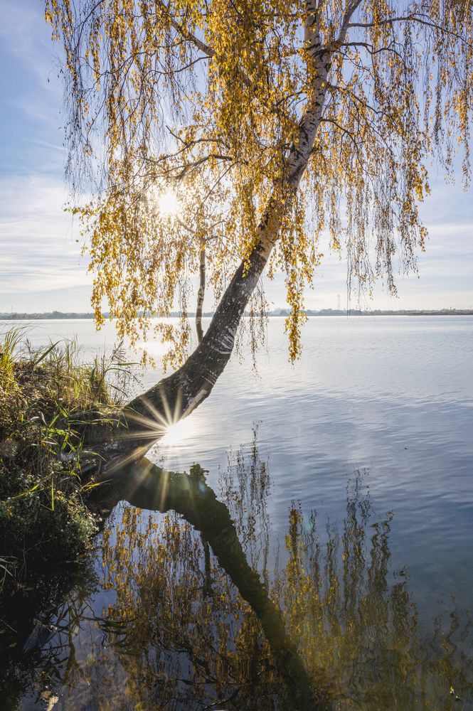Фотография автора Ольга Лихтарь