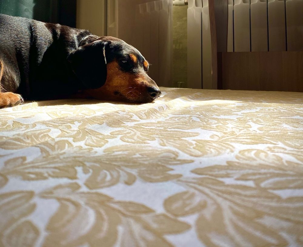 Фотография автора Алина