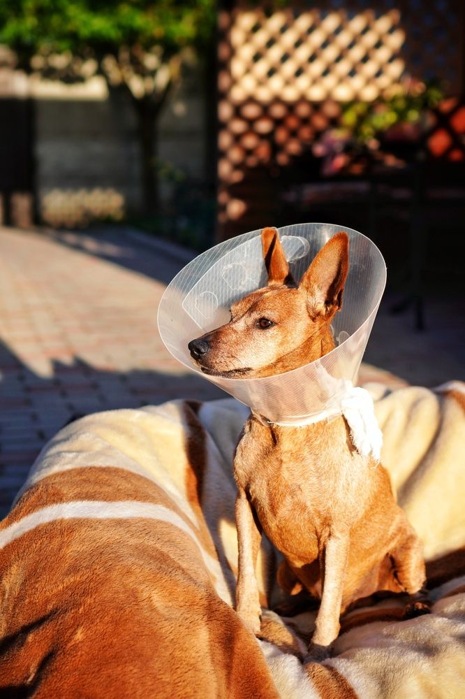 Photograph by Игорь Маслов