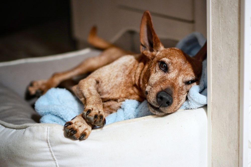 Photograph by Игорь Маслов