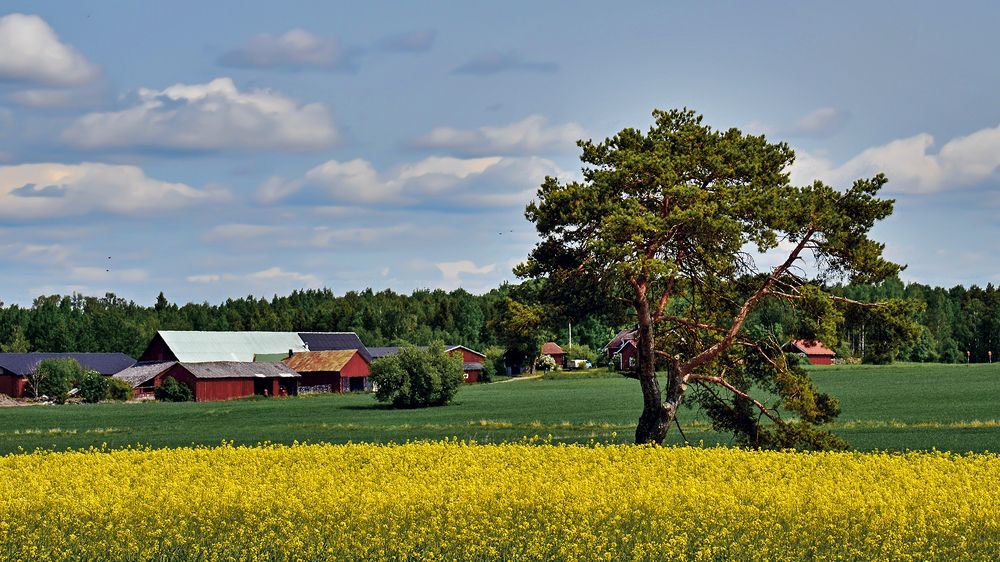 Ему не скучно