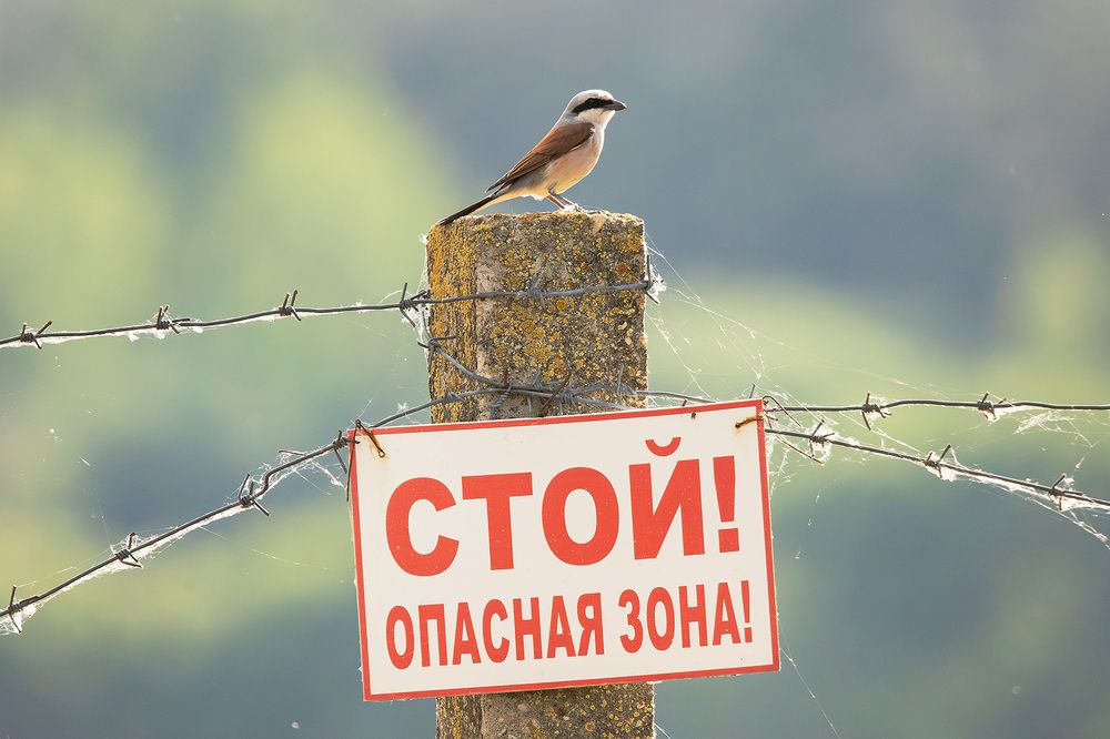 Photograph by Алёна Тиханович