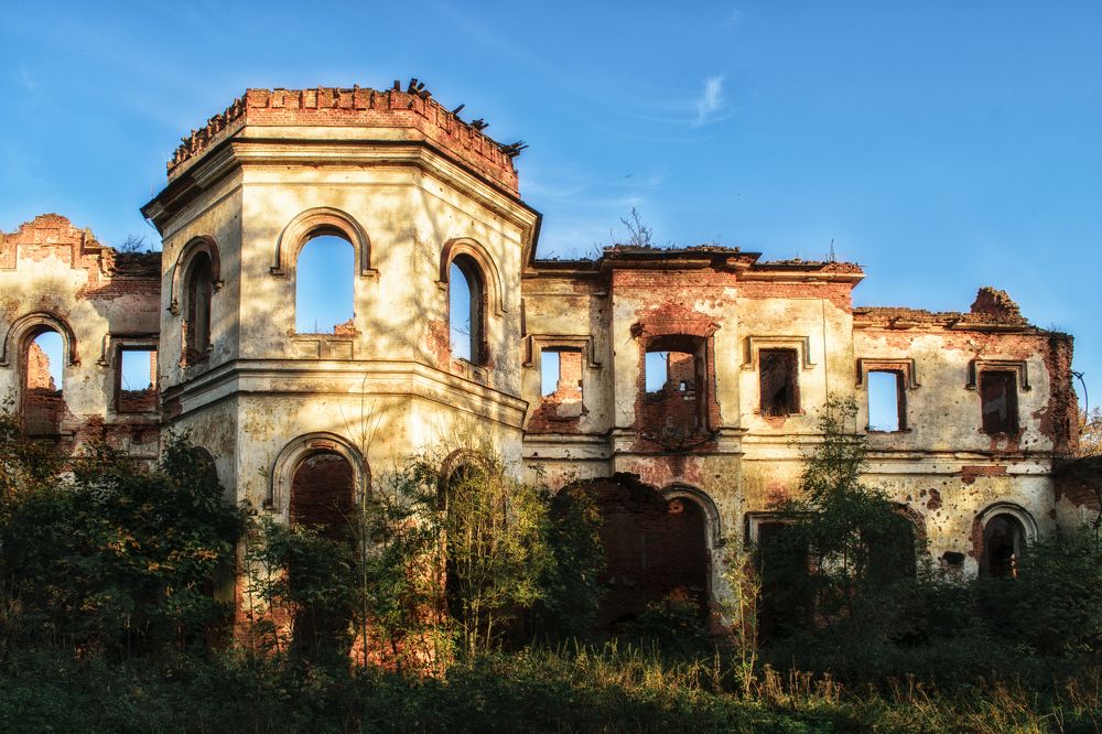 Photograph by Дьяченко Алёна