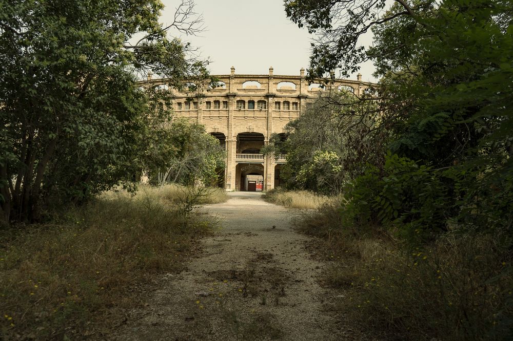 Recuperando el verde