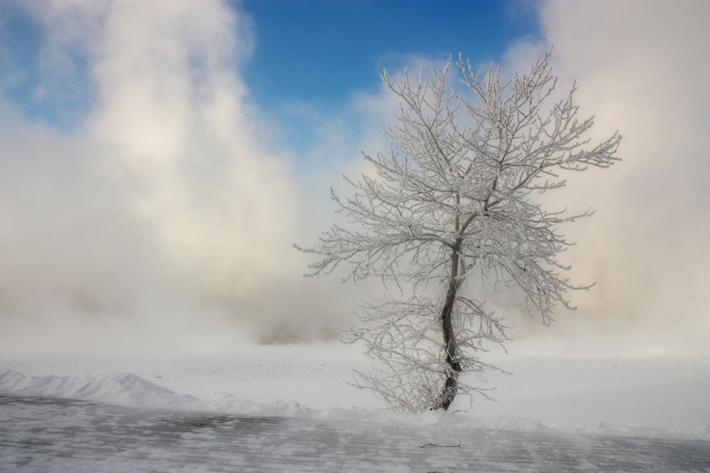 Photograph by Ольга Литвинцева