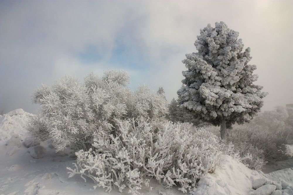 Photograph by Ольга Литвинцева