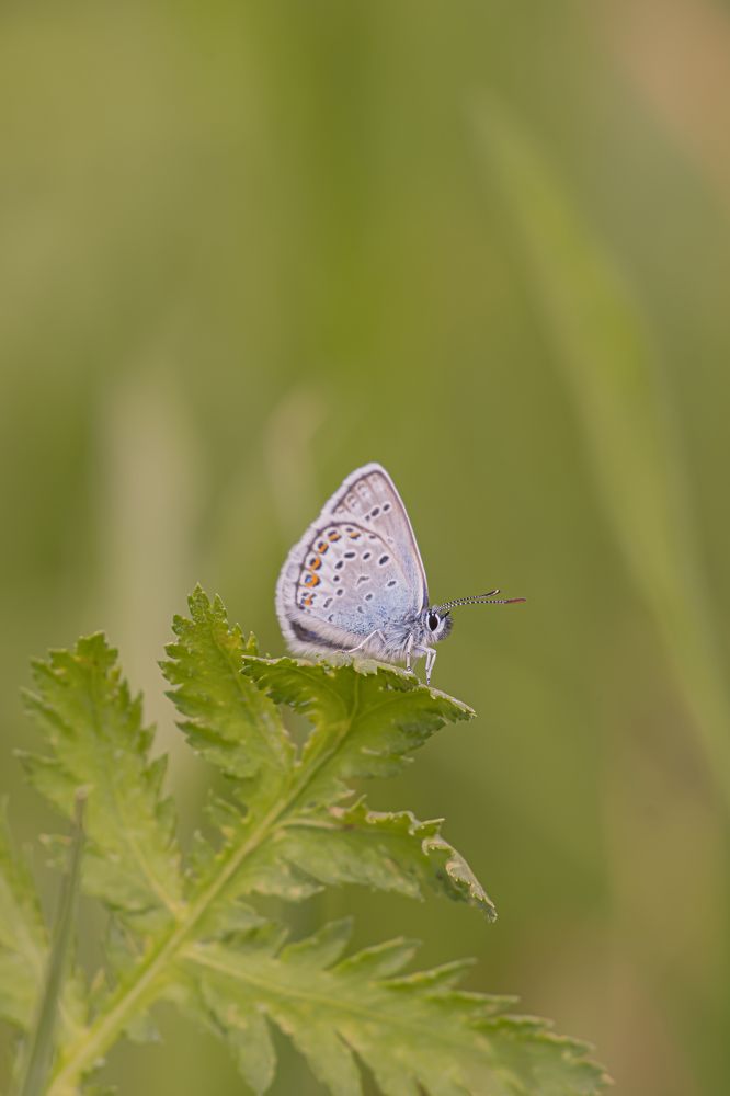 Photograph by Екатерина Бурикова