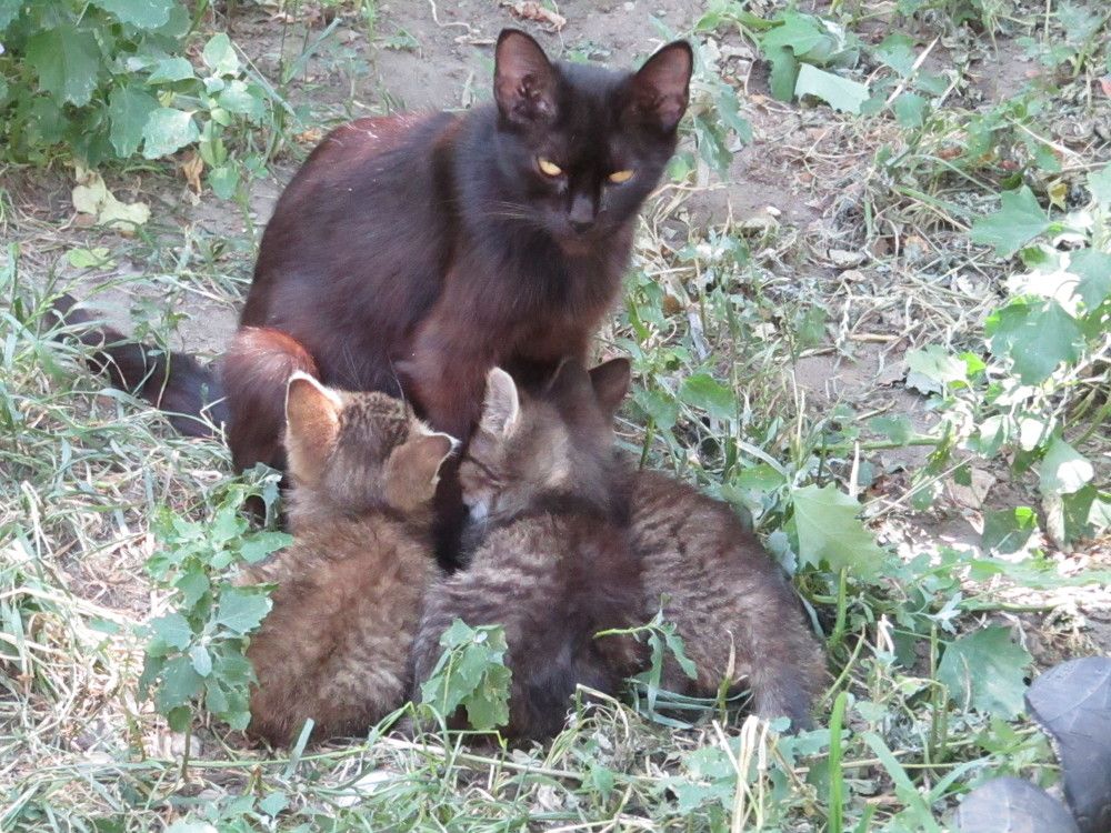 Photograph by Нурлан Кушкунов