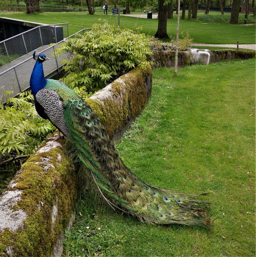 Photograph by Владимир Манкер