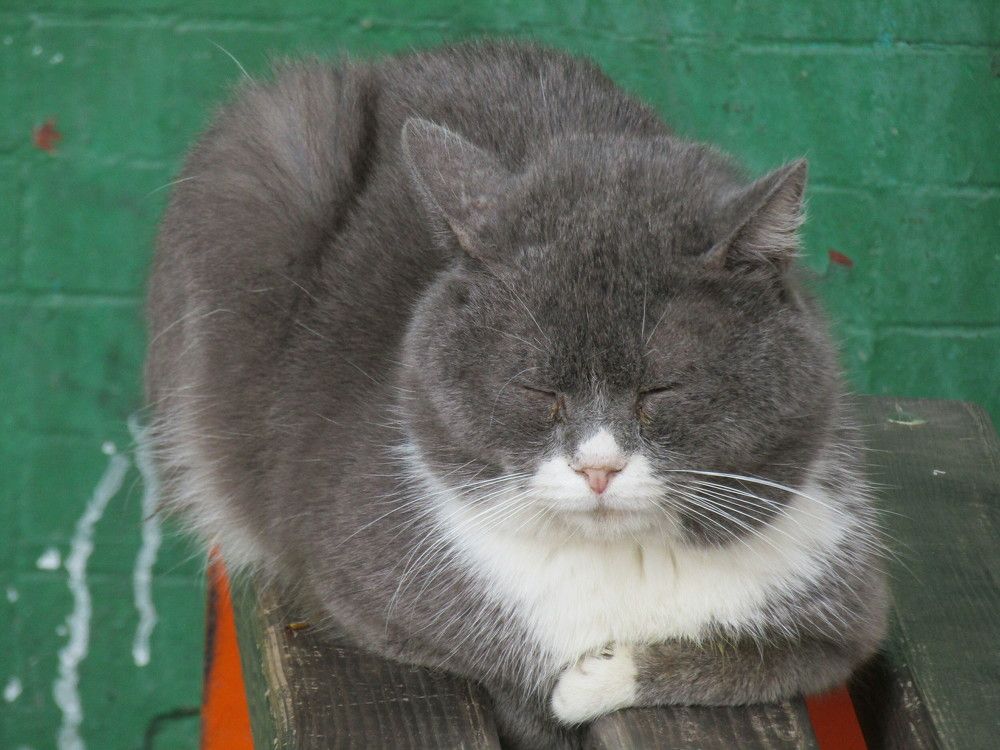 Photograph by Нурлан Кушкунов